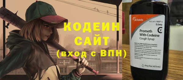 гидра Богданович