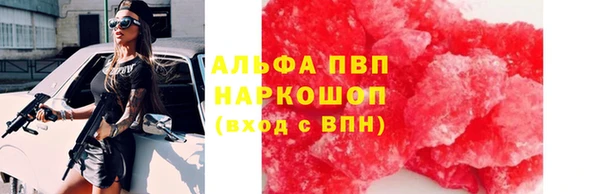 гидра Богданович