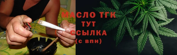 mdpv Богородицк