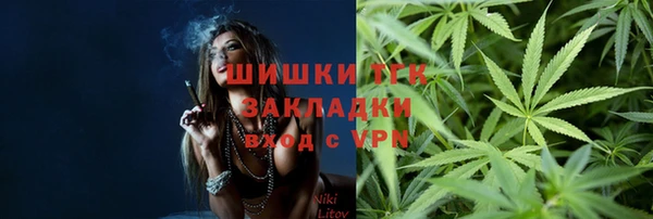 гидра Богданович