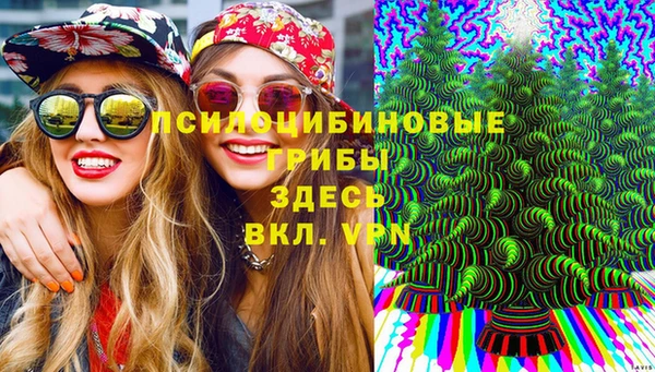 гидра Богданович