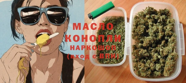 гидра Богданович