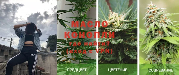 гидра Богданович