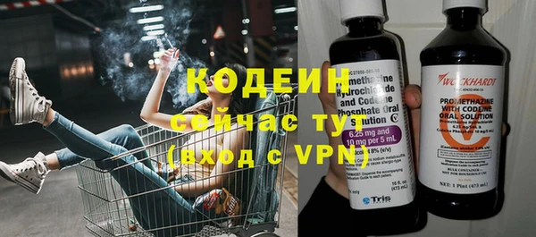 гидра Богданович