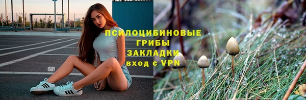 mdpv Богородицк