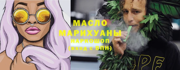 гидра Богданович