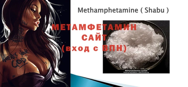 гидра Богданович
